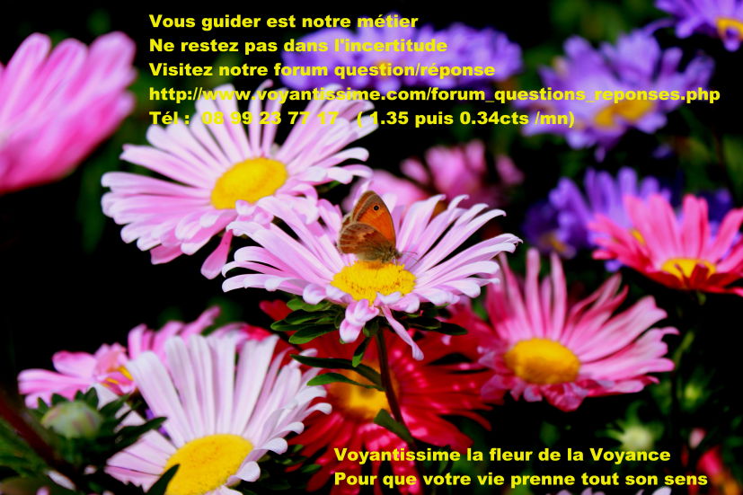 UNE QUESTION ?  UNE REPONSE