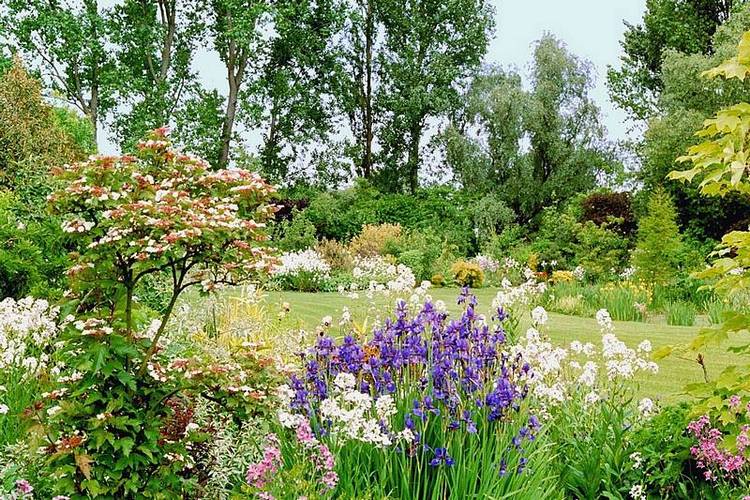 besoin de quelq'un au jardin?