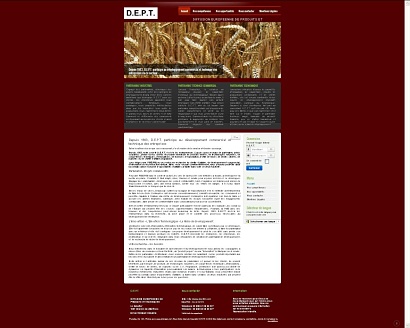 Consultant senior spécialisé en développement, prévention et traitement des difficultés d'entreprises.