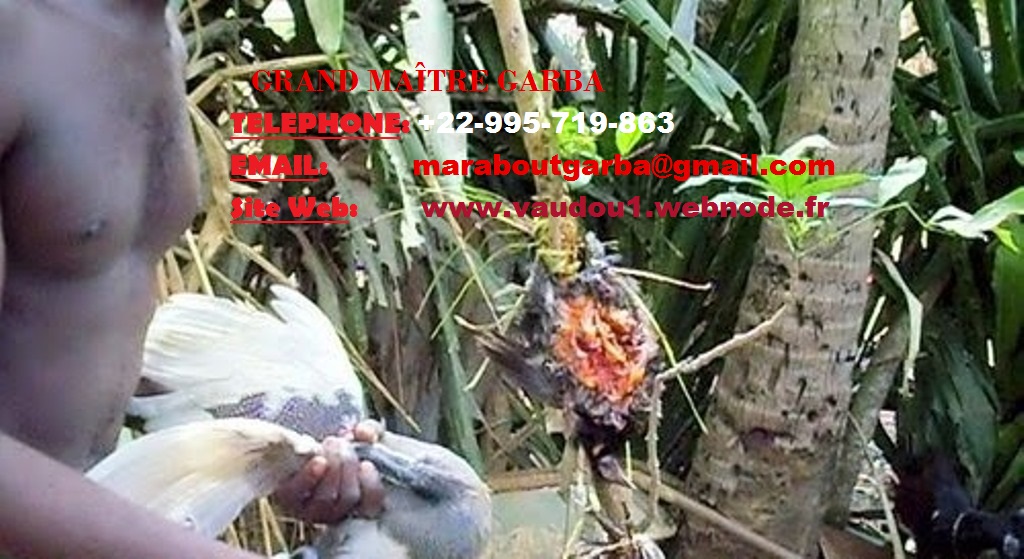 La solution à tout vos problèmes 